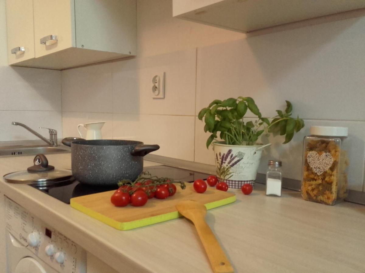 Mini Pomorska Apartment Lodz (Lodz)